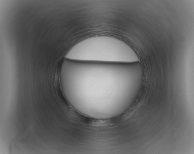 X0000110740129200906150936