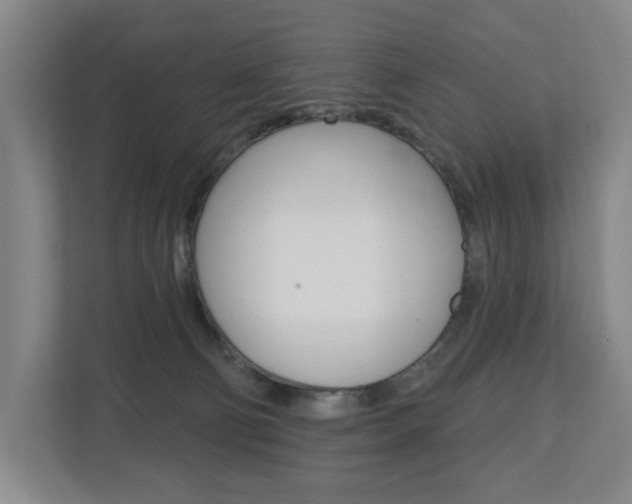 X0000110740130200906150936