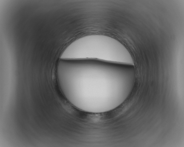X0000110740131200906150936