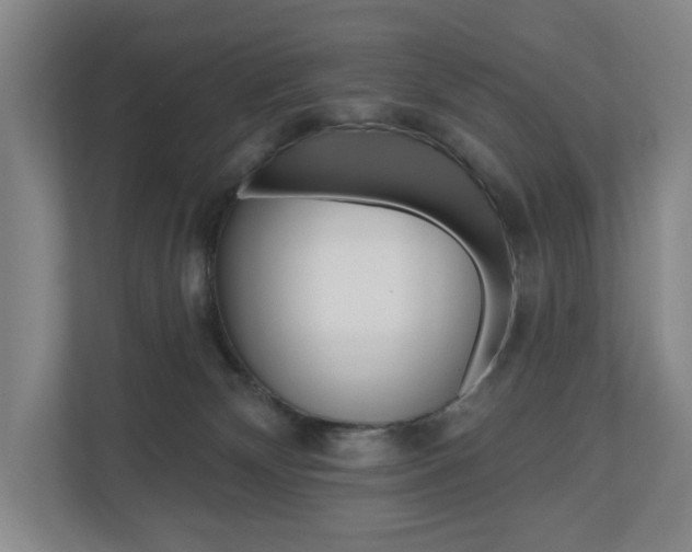 X0000110740132200906150936