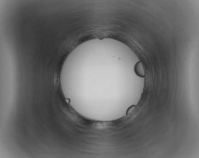 X0000110740134200906150936