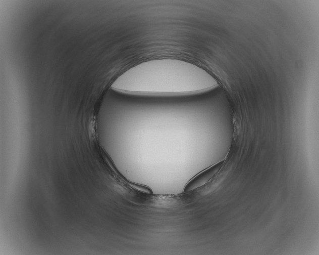 X0000110740141200906150936