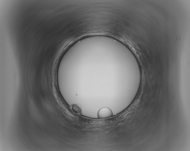X0000110740145200906150936