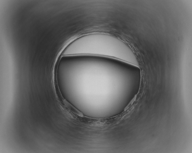 X0000110740148200906150936