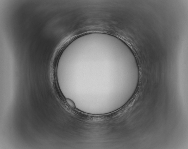 X0000110740149200906150936