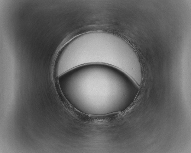X0000110740150200906150936