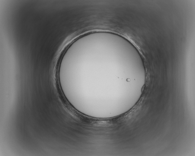 X0000110740151200906150936