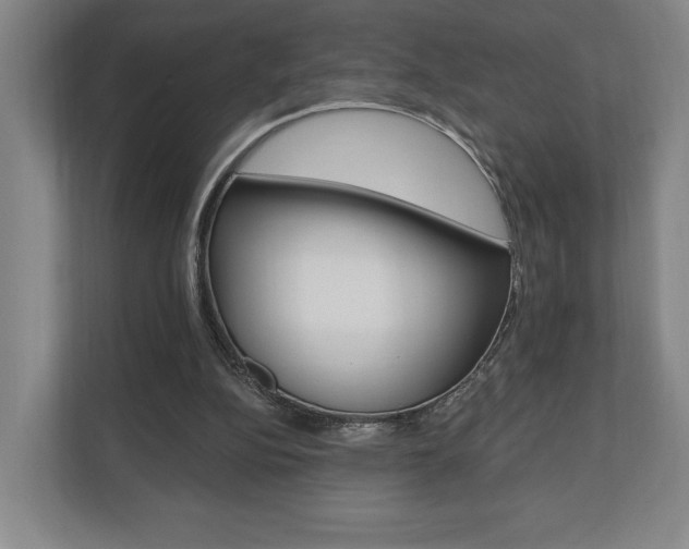 X0000110740152200906150936