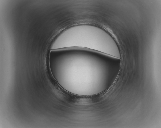 X0000110740154200906150936