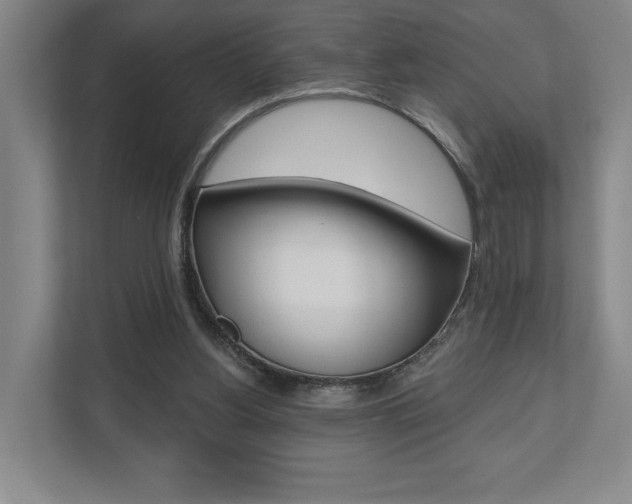 X0000110740156200906150936