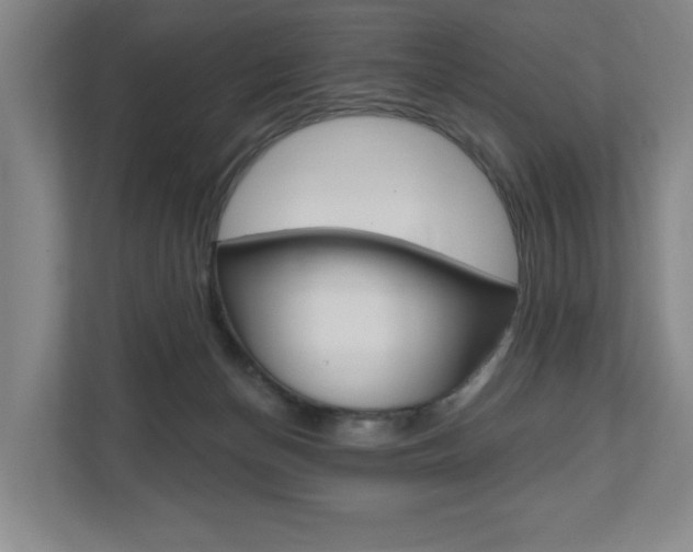 X0000110740174200906150936