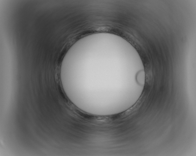 X0000110740175200906150936