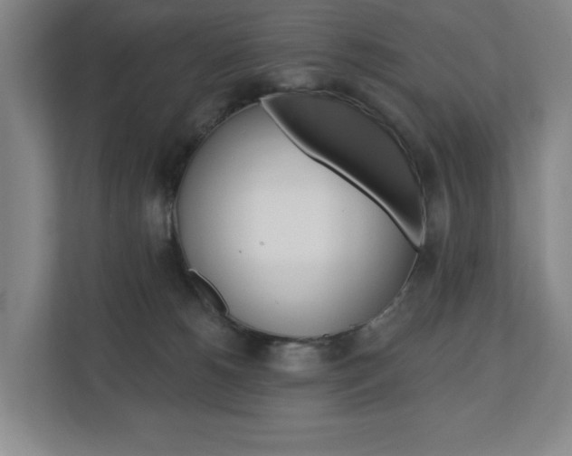 X0000110740180200906150936