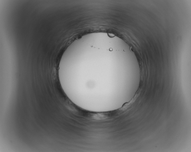 X0000110740183200906150936