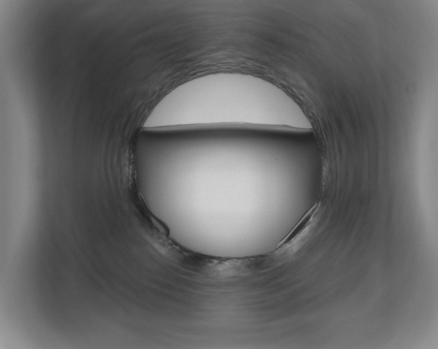 X0000110740186200906150936