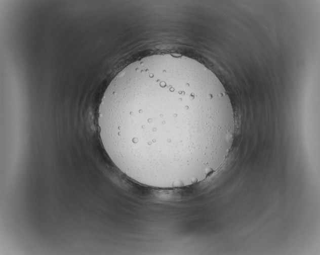 X0000110740187200906150936