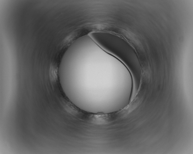 X0000110740188200906150936