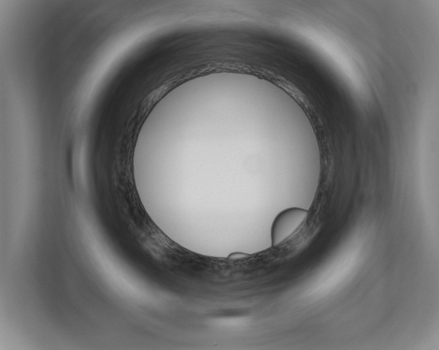 X0000110740189200906150936