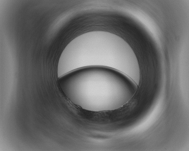X0000110740190200906150936