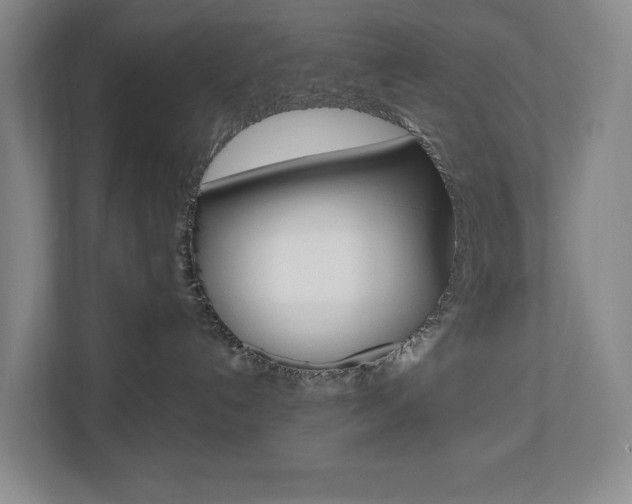 X0000110740192200906150936
