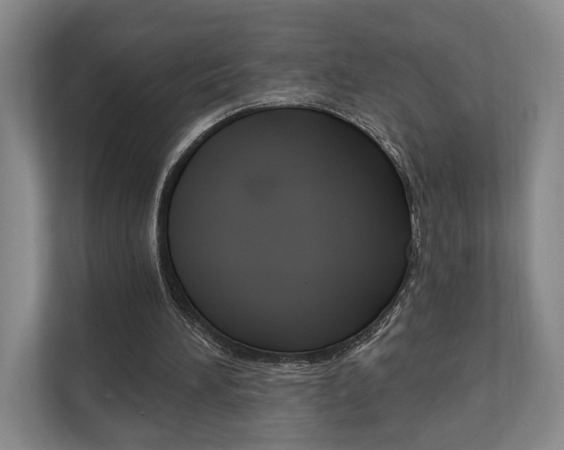 X0000110740196200906150936