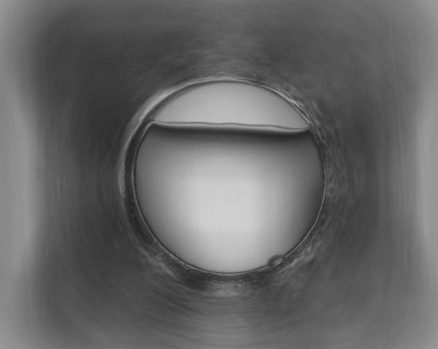 X0000110740200200906150936