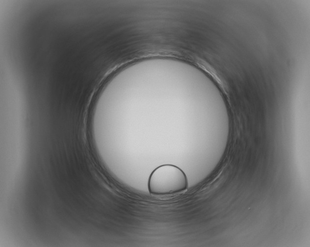 X0000110740203200906150936
