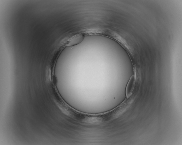 X0000110740205200906150935