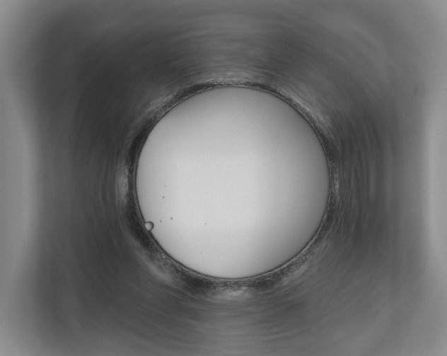 X0000110740206200906150935
