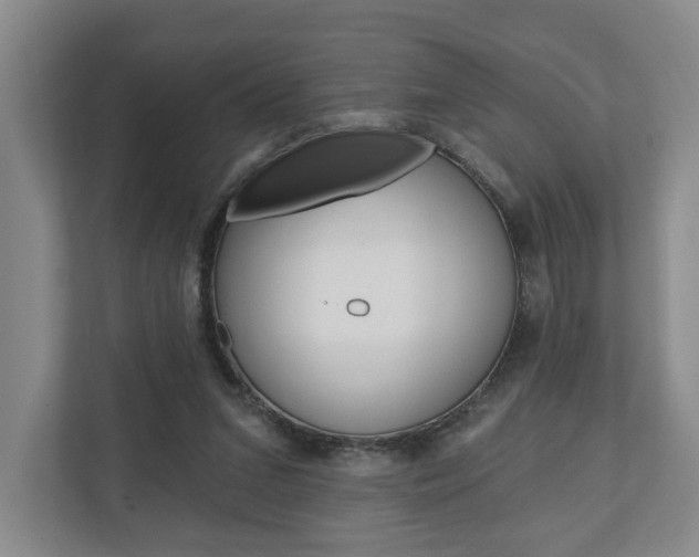 X0000110740207200906150935