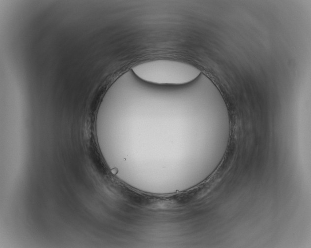 X0000110740210200906150935