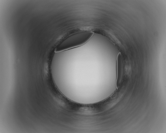 X0000110740211200906150935
