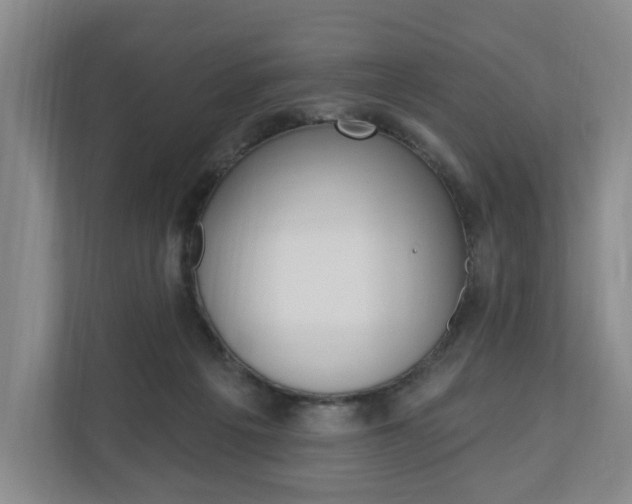 X0000110740217200906150935