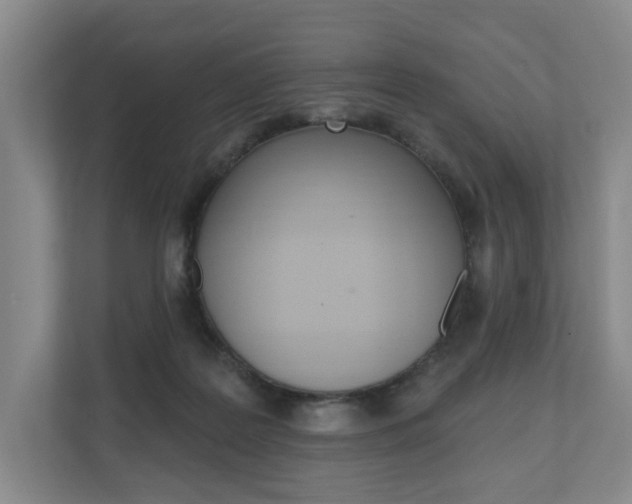 X0000110740219200906150935