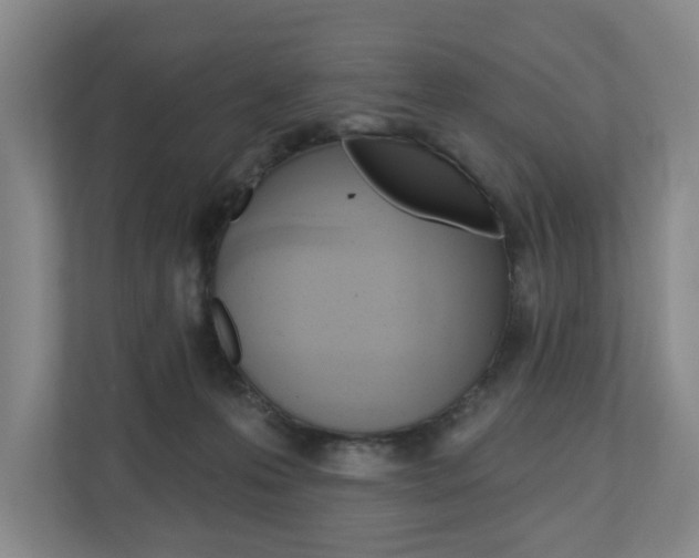X0000110740223200906150935