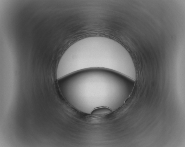 X0000110740229200906150935