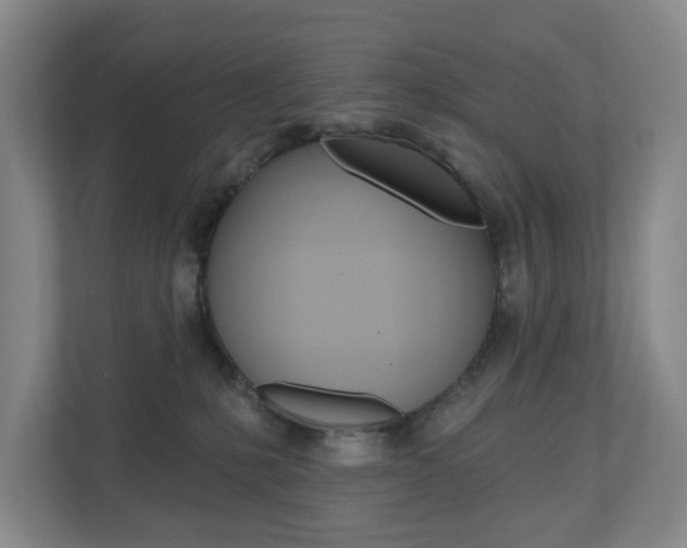 X0000110740231200906150935