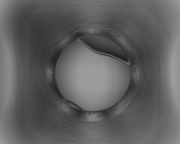 X0000110740235200906150935