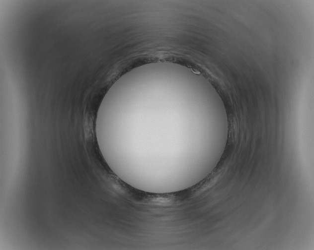 X0000110740236200906150935