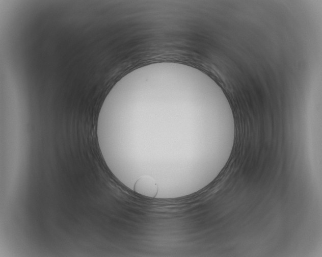 X0000110740237200906150935