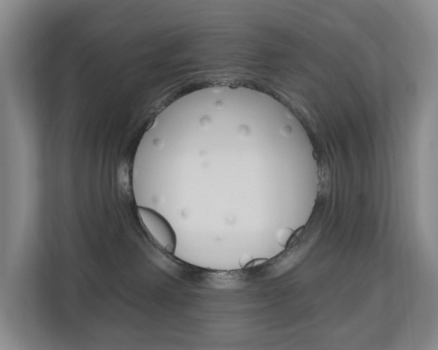 X0000110740238200906150935