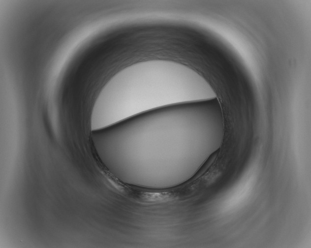 X0000110740239200906150935