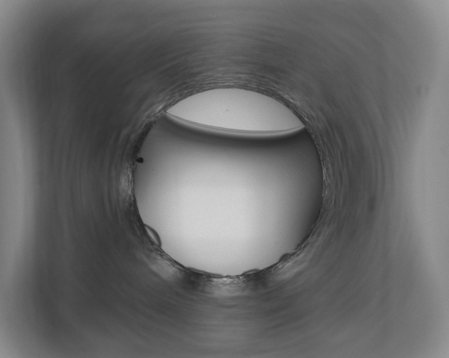 X0000110740240200906150935