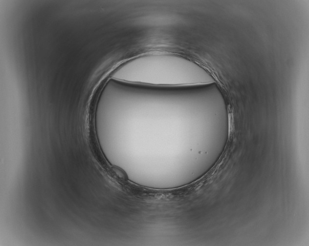 X0000110740243200906150934