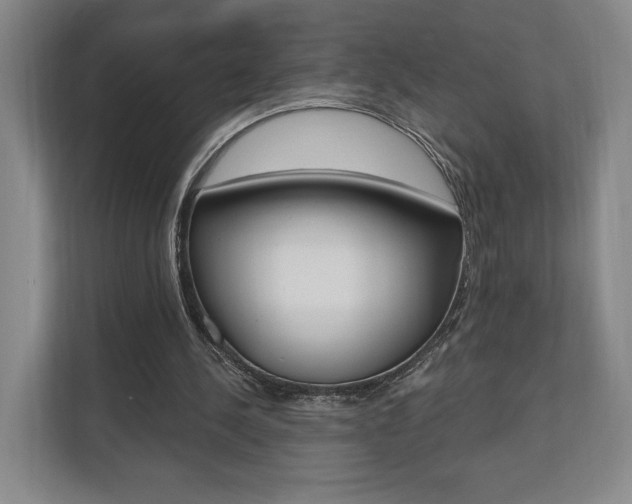 X0000110740244200906150934