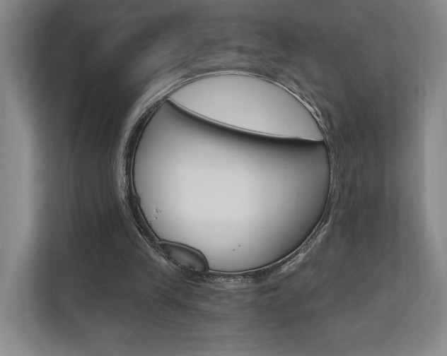 X0000110740245200906150934