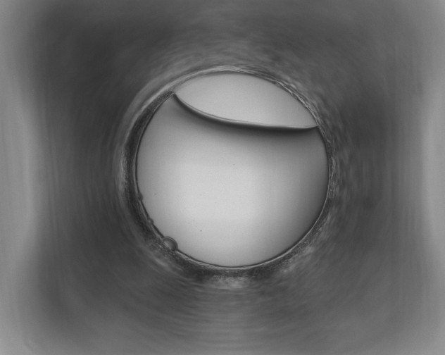 X0000110740247200906150934