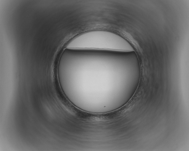 X0000110740250200906150935