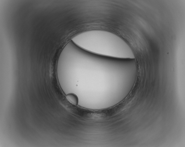 X0000110740255200906150935