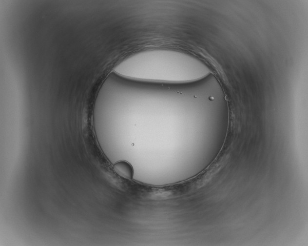 X0000110740257200906150935
